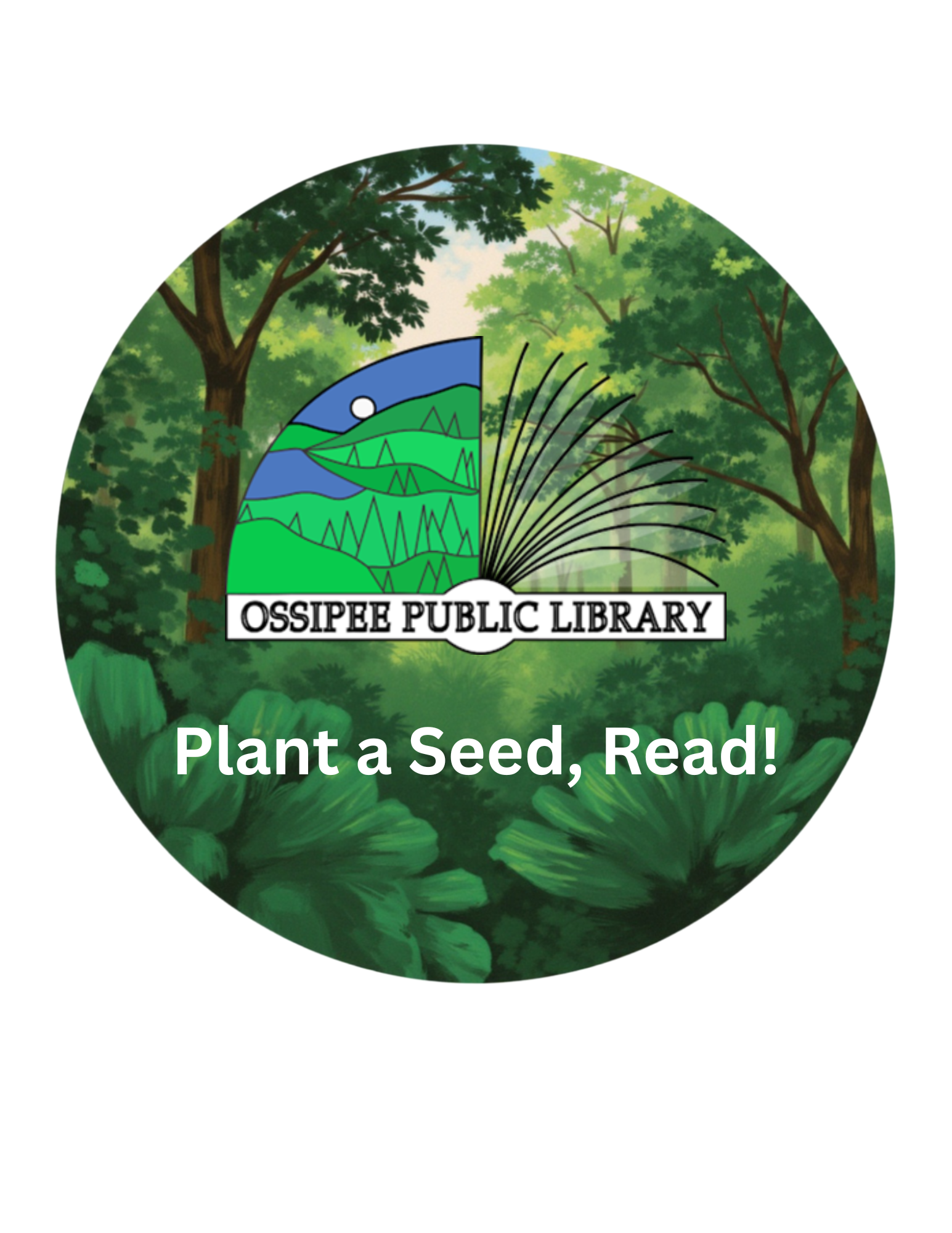 plant seed