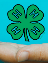 4h