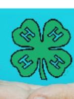 4h