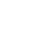 Dice