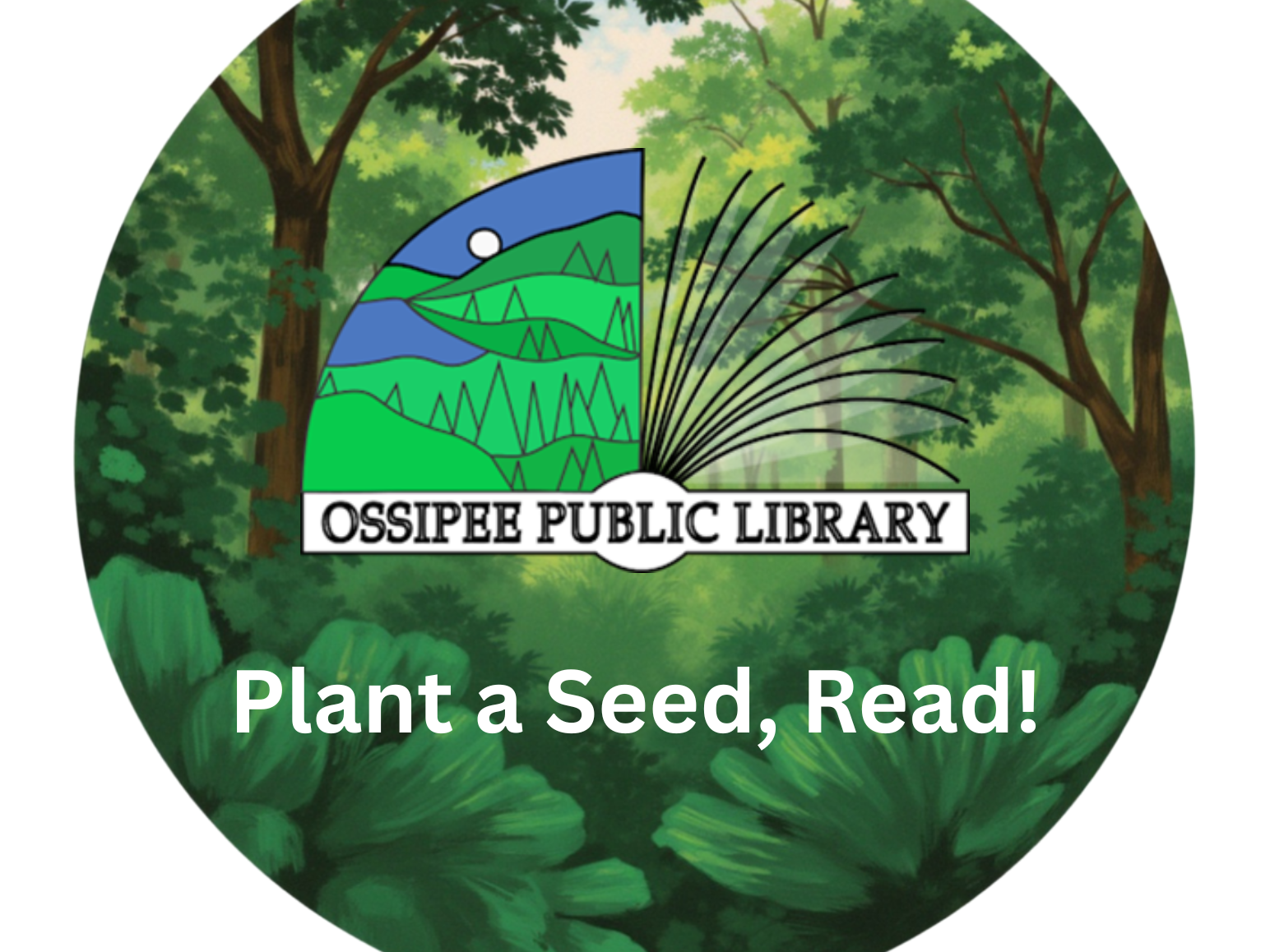 plant seed
